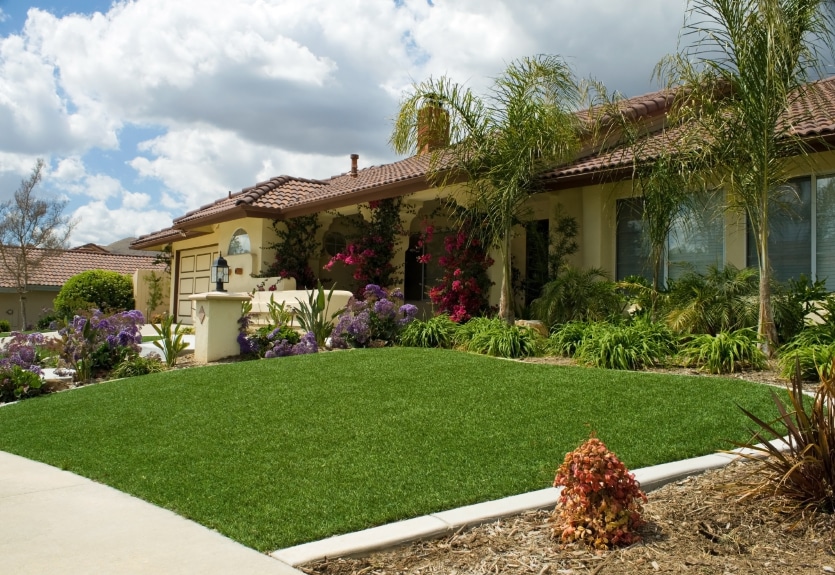 Drought Tolerant Lawn Alternative Artificial Grass Recyclers